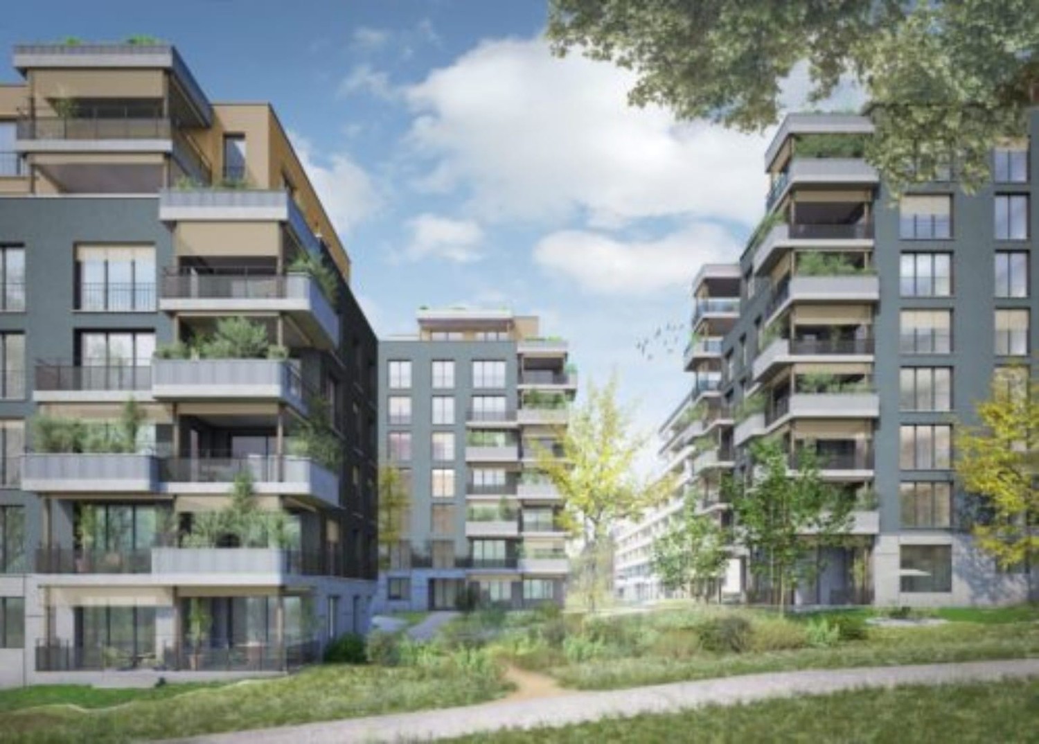 Appartamento di 3 ½ locali, foto 6 di 8