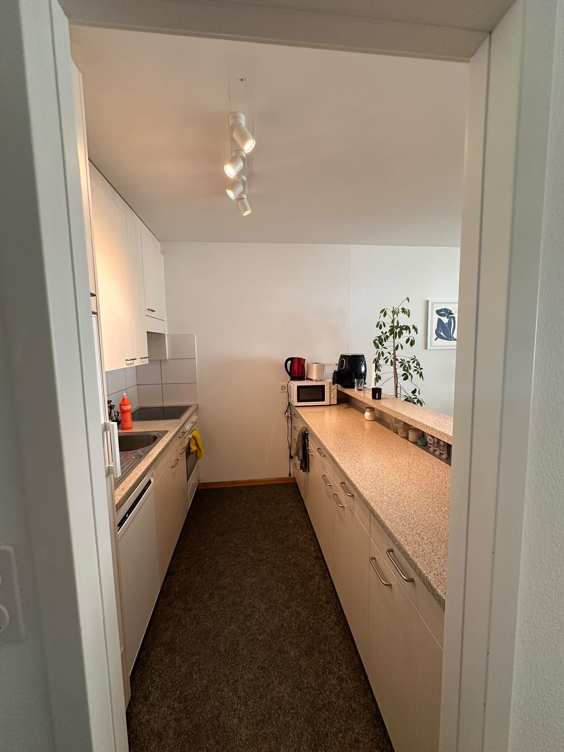 Stanza in un appartamento condiviso