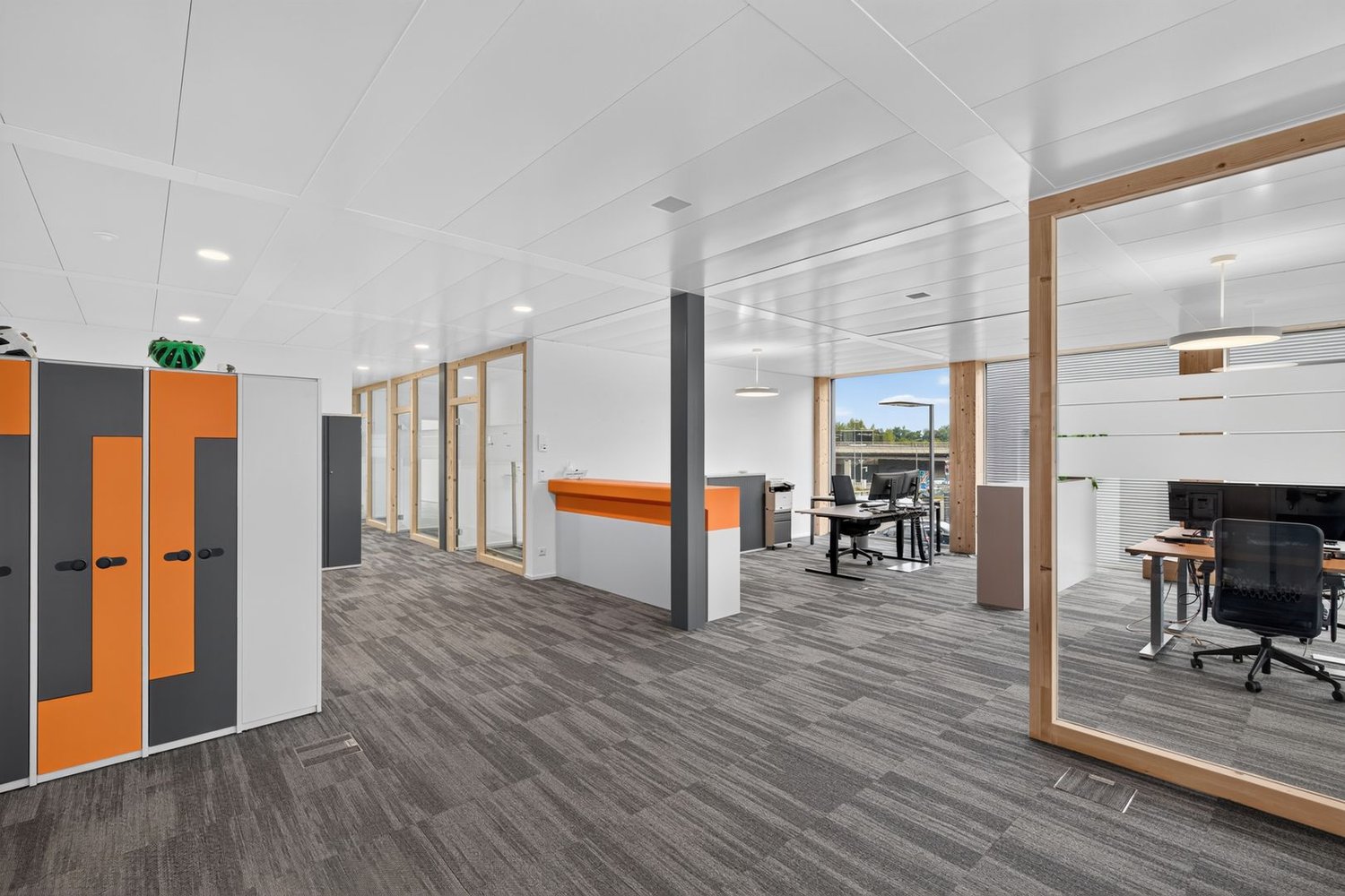 287m² commerciale