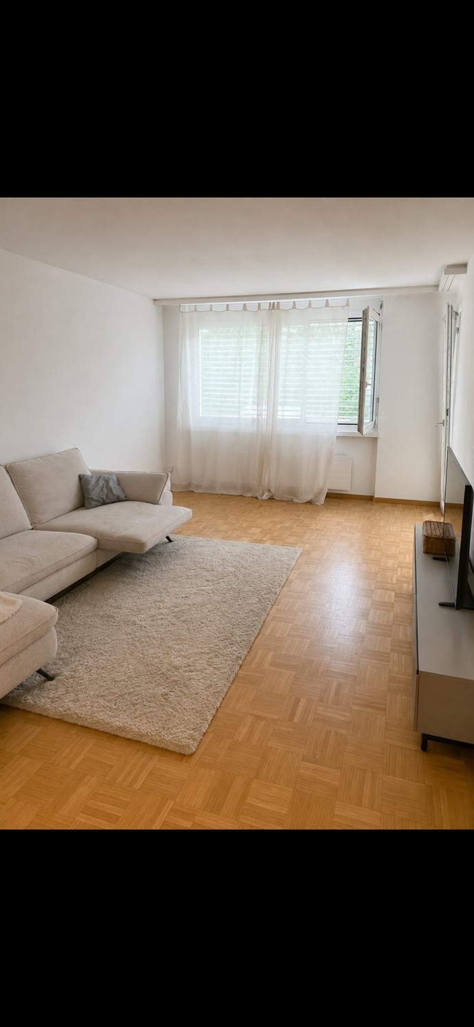Appartamento di 4 ½ locali, foto 1 di 4
