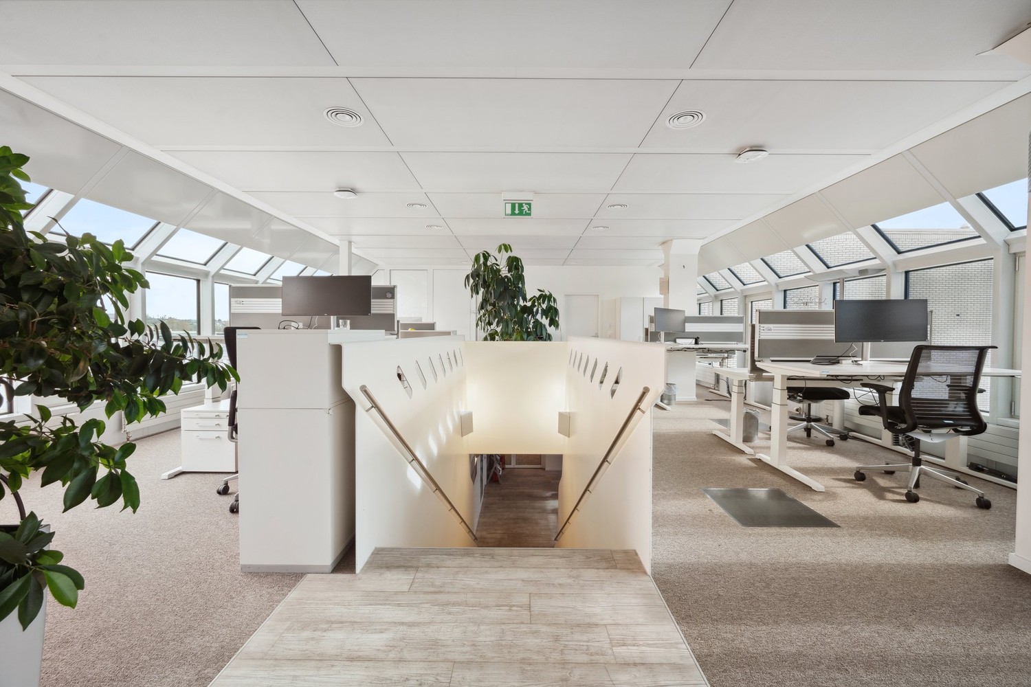 1574m² ufficio