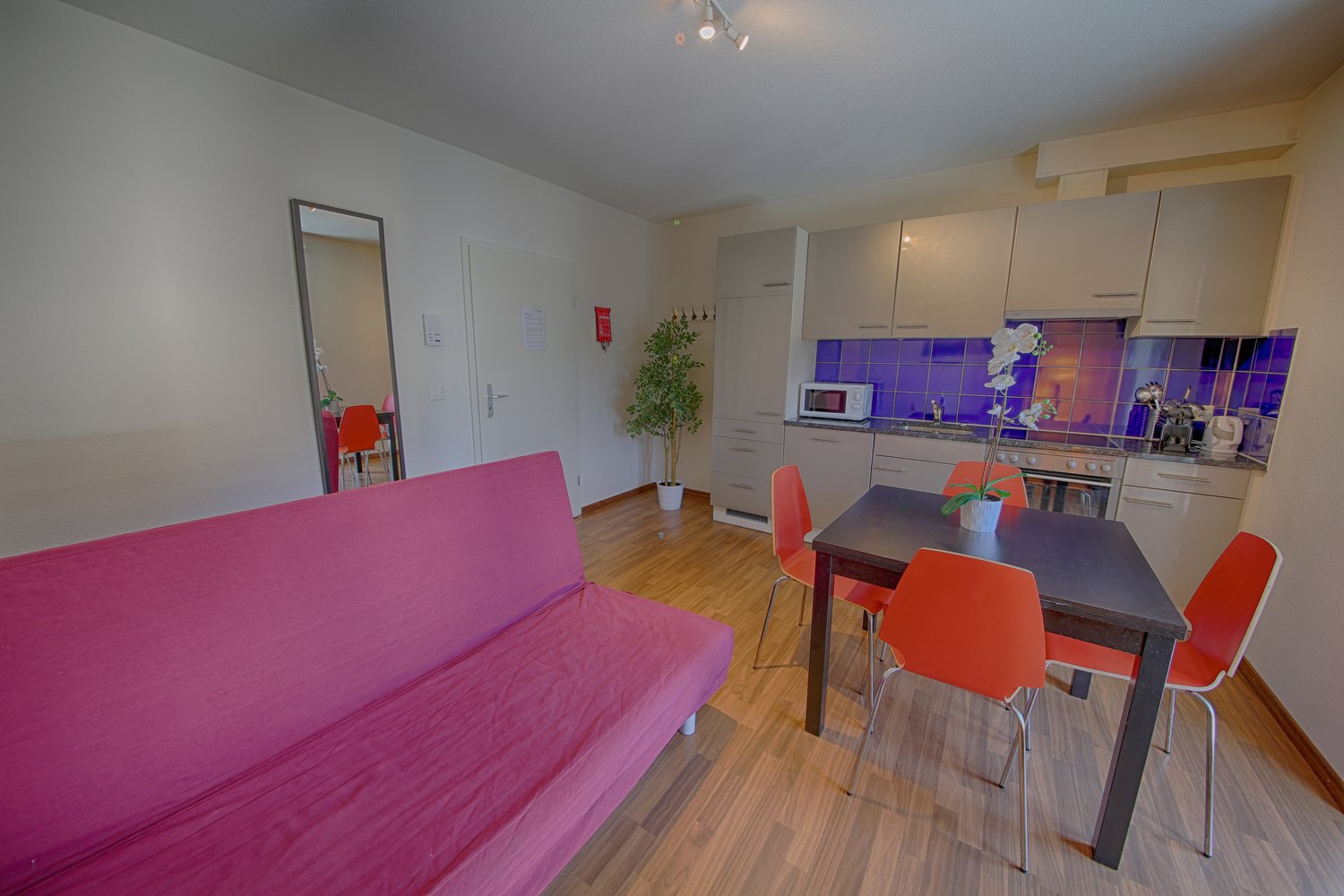 appartamento arredato di 2 ½ locali