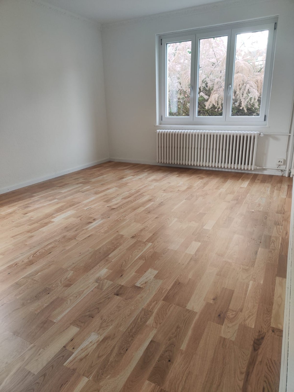3 rooms apartment