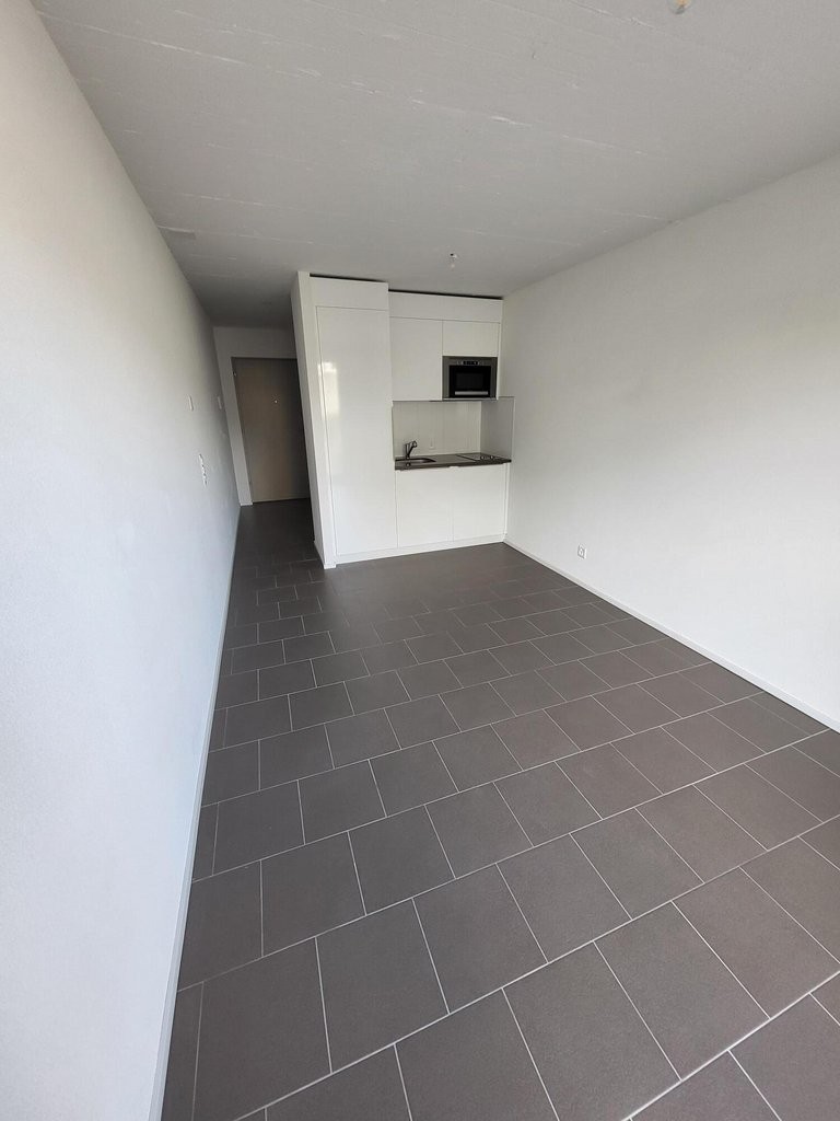 1 ½ Zimmer Wohnung
