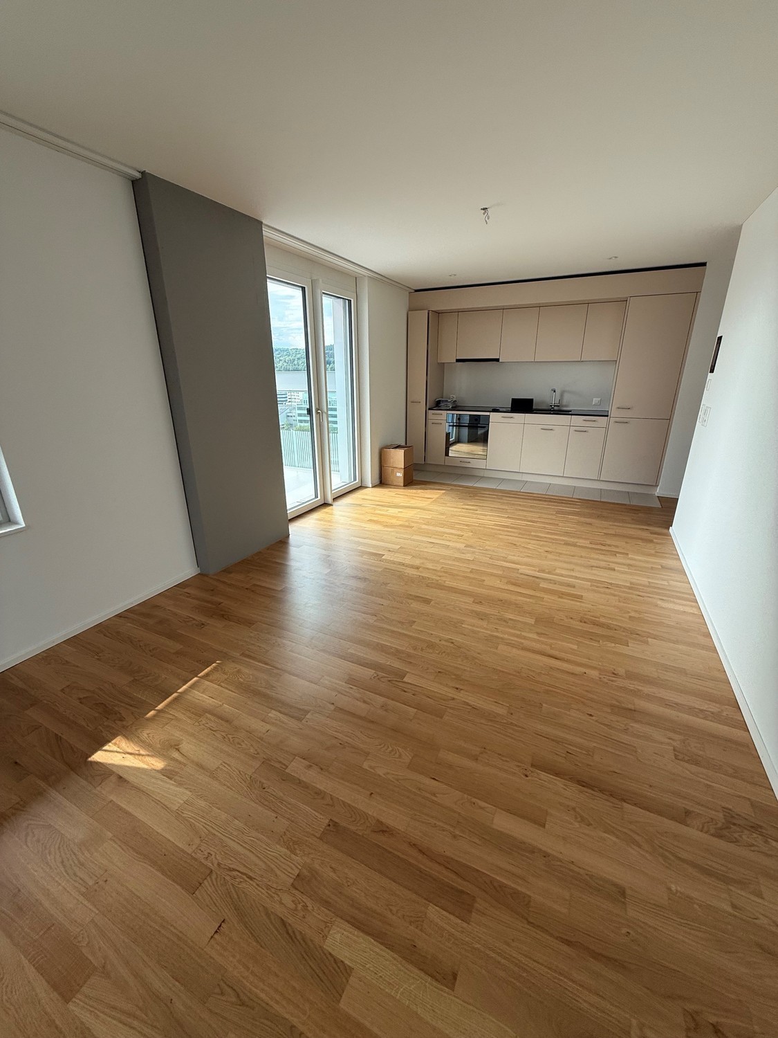 2 ½ rooms apartment