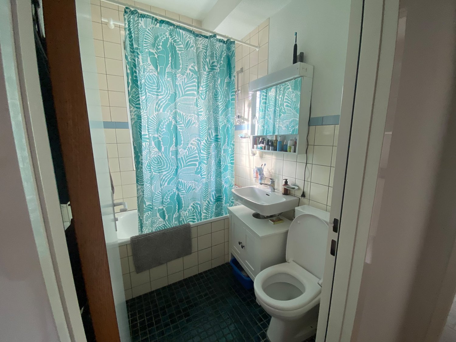 Room in a shared flat