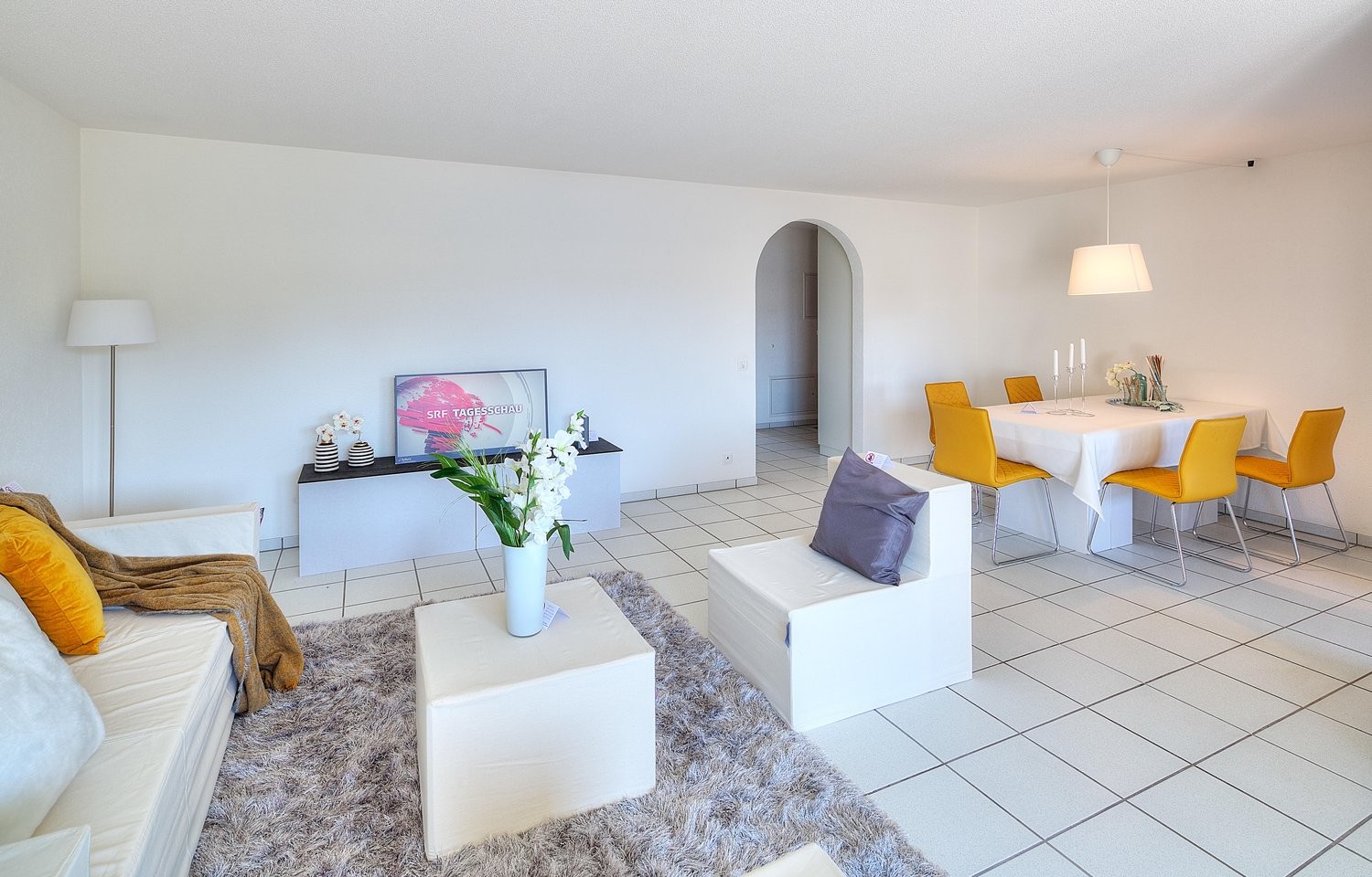 Appartement de 3 ½ pièces