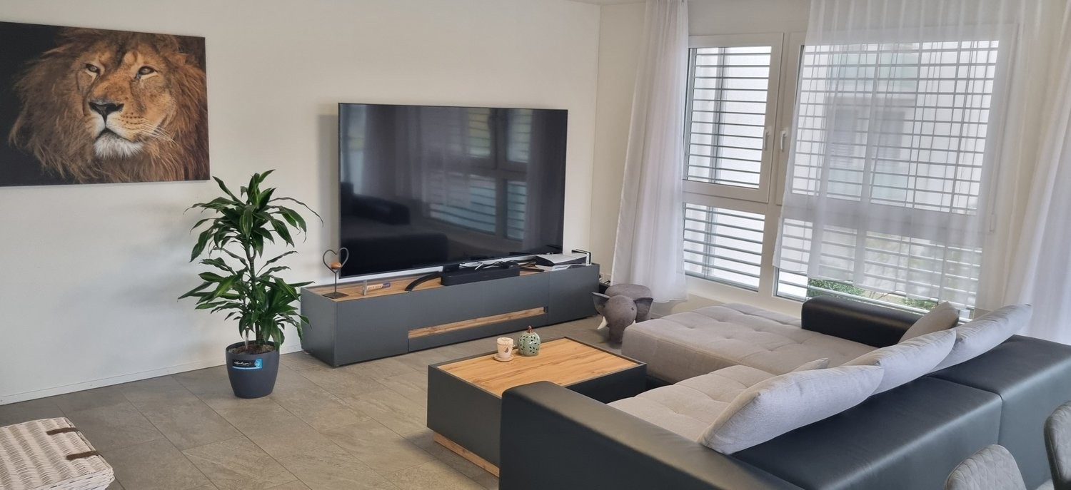 Appartamento arredato di 2 ½ locali, foto 2 di 10