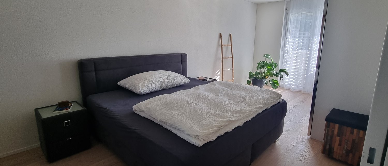 Appartamento arredato di 2 ½ locali, foto 6 di 10
