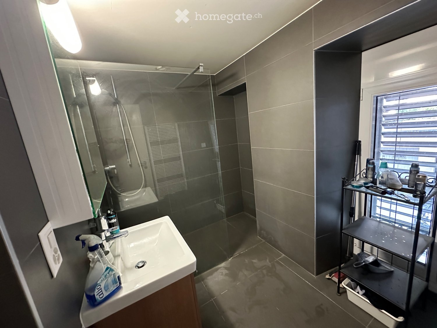 Appartamento di 2 ½ locali, foto 3 di 5