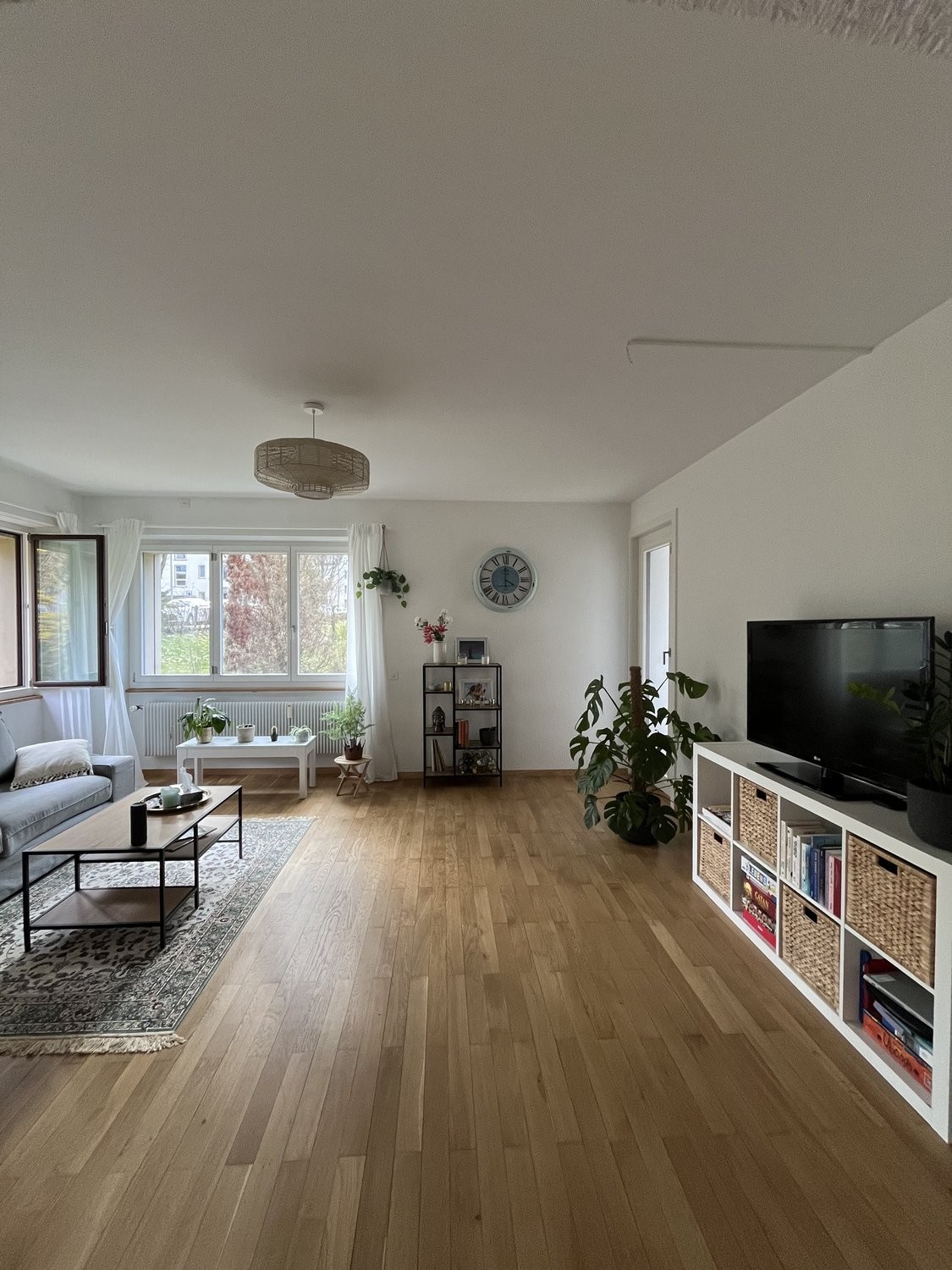 Appartamento arredato di 3 ½ locali, foto 1 di 10