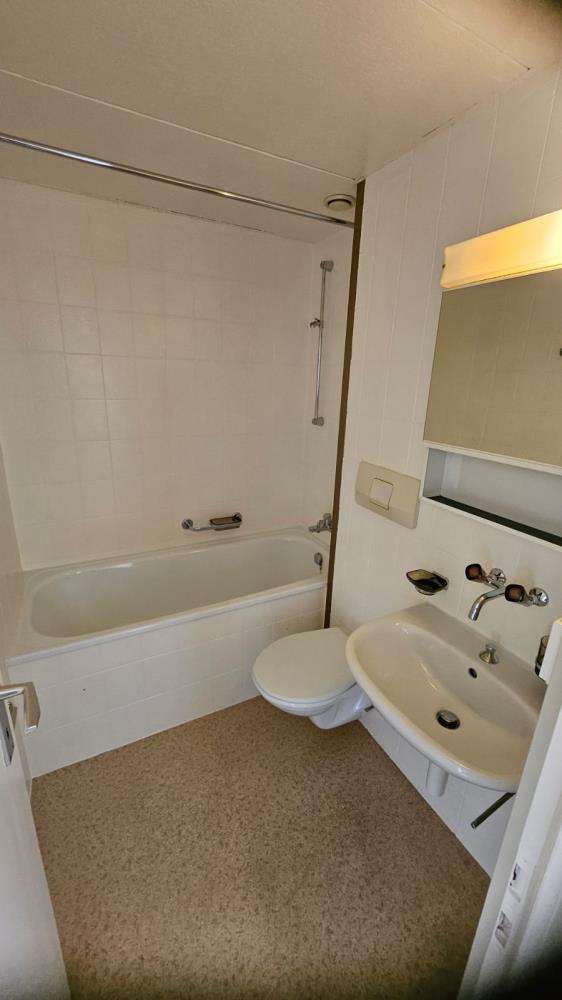 3 ½ Zimmer-Wohnung