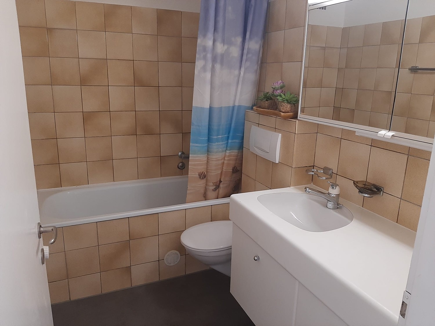 Appartamento di 1 ½ locali, foto 1 di 8