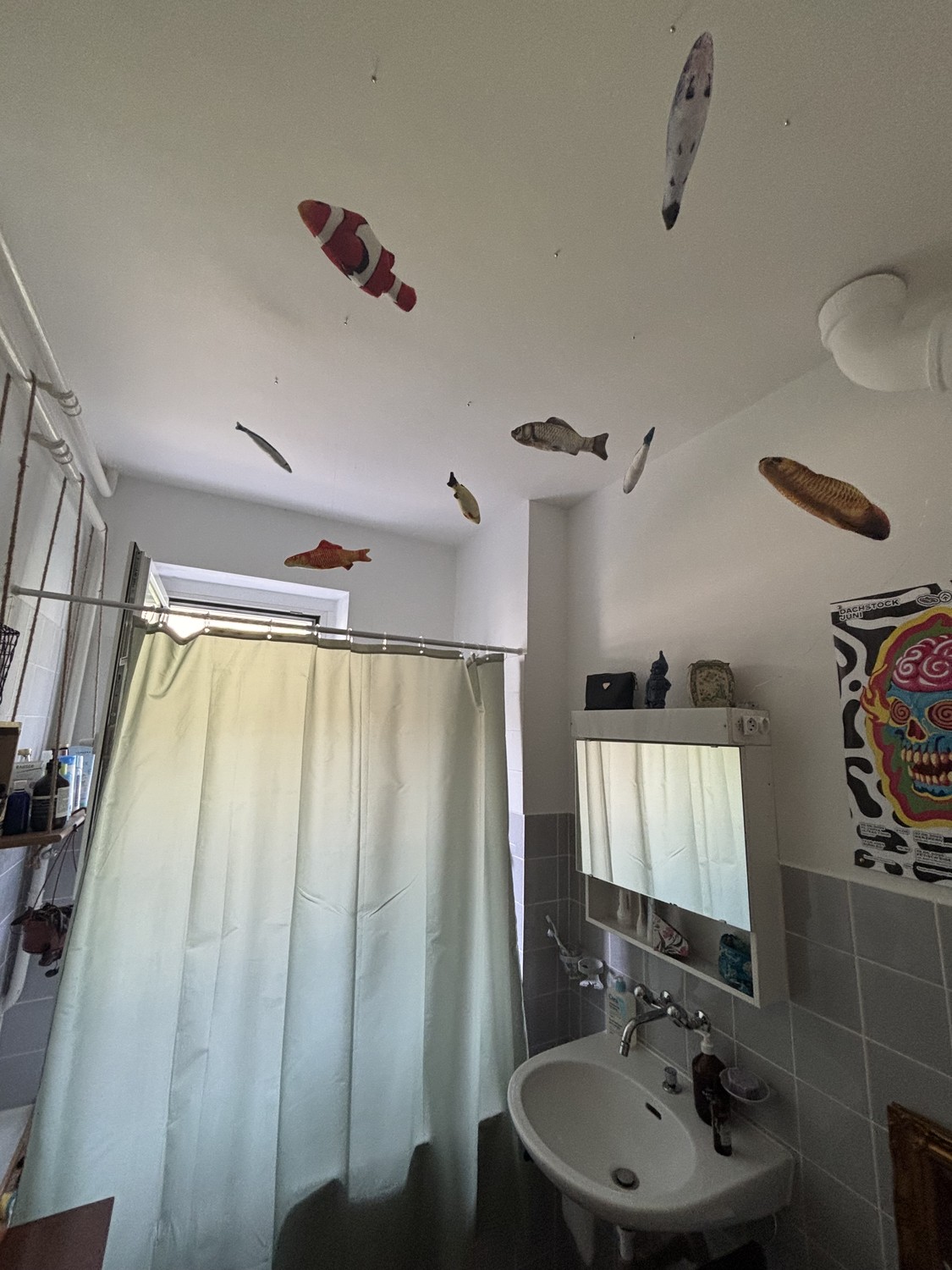Appartamento di 2 ½ locali, foto 3 di 6