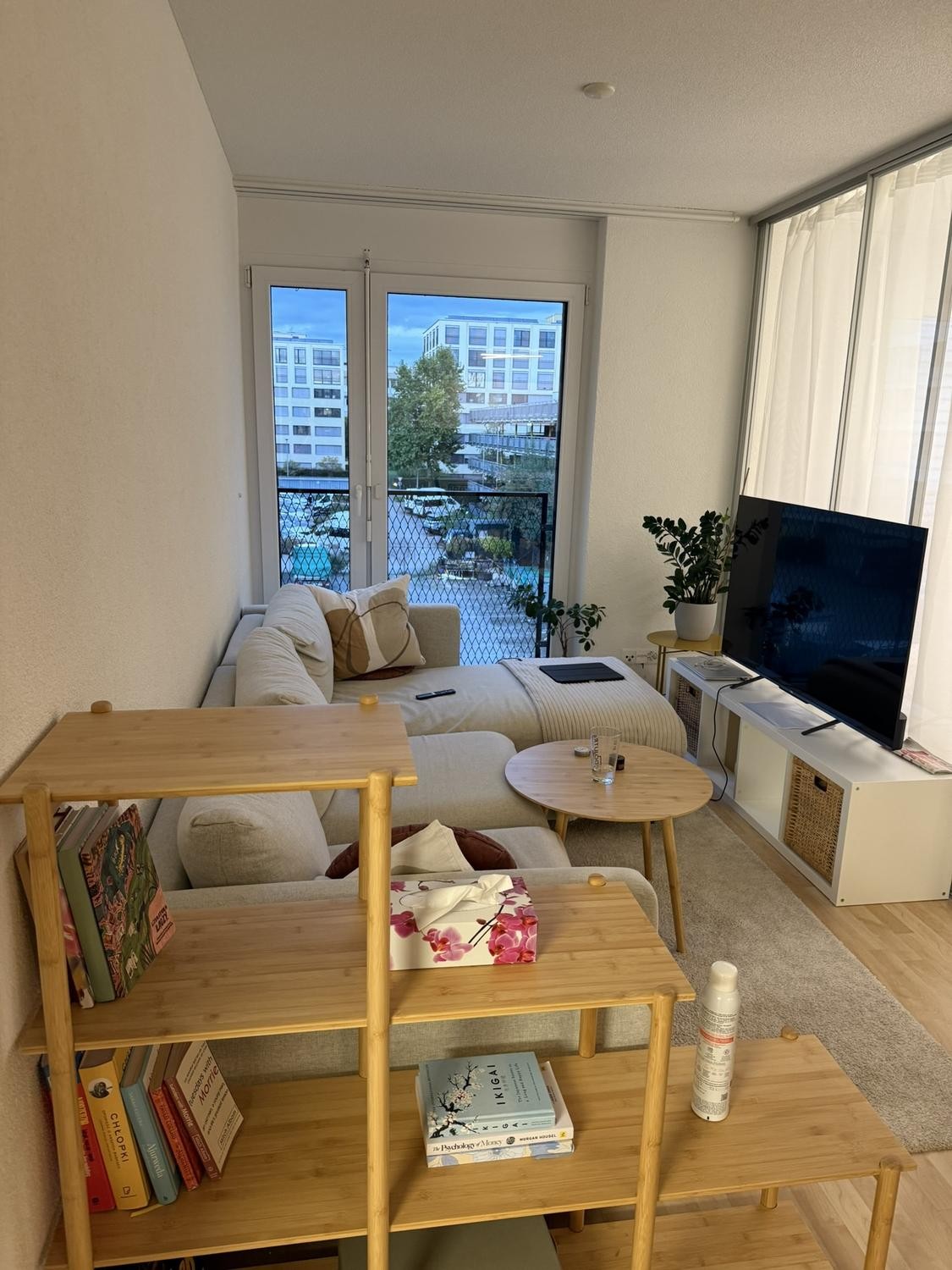 Appartamento di 1 ½ locali