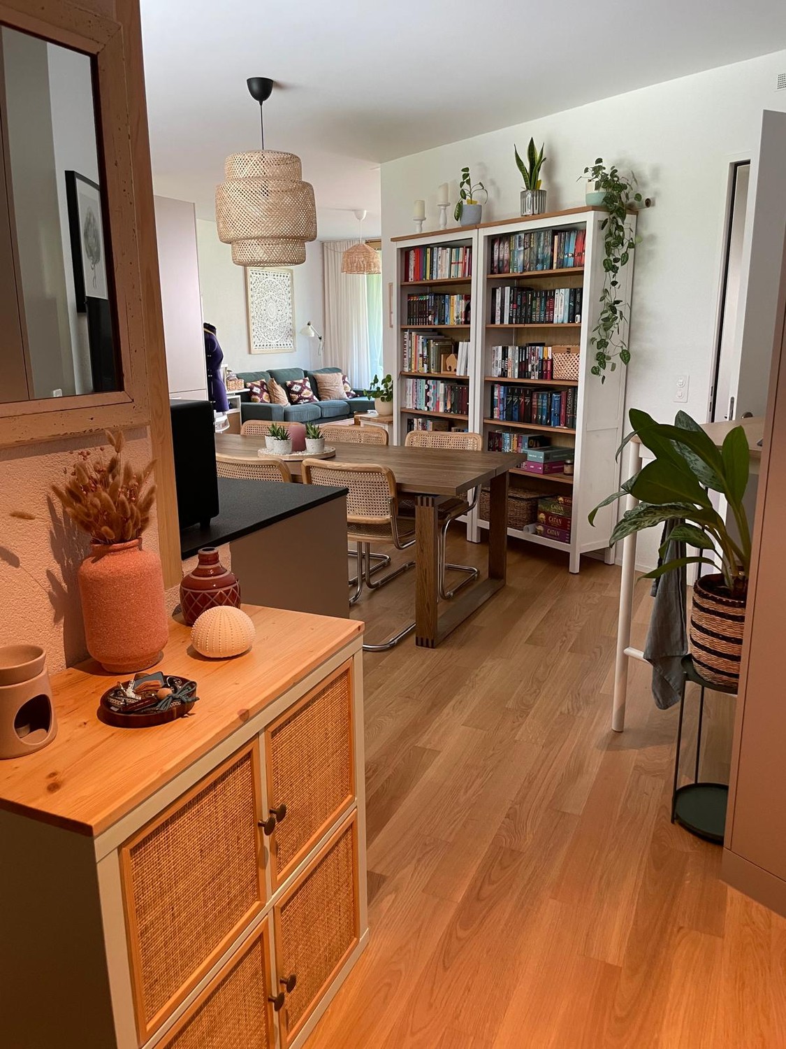 Appartement de 3 ½ pièces