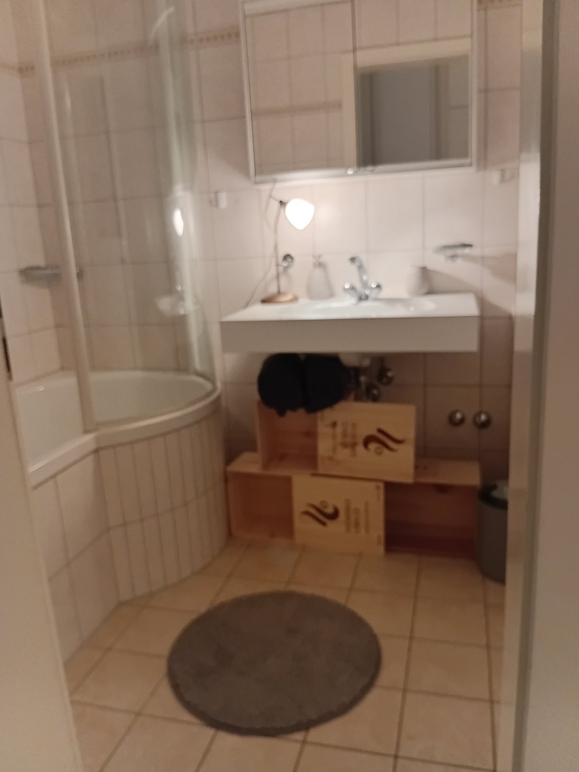 Appartamento arredato di 4 ½ locali, foto 6 di 10