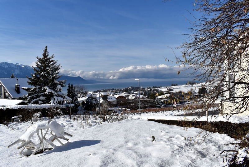 Appartamento arredato di 5 ½ locali