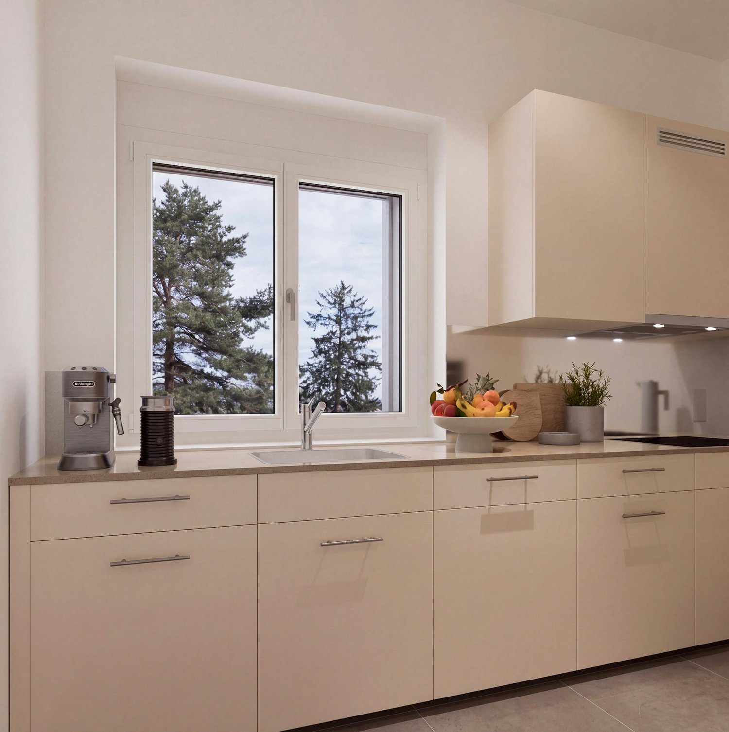 4 ½ rooms apartment