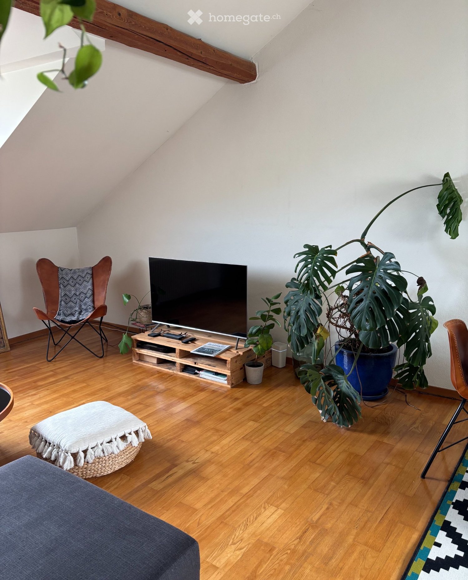 Appartamento di 3 ½ locali