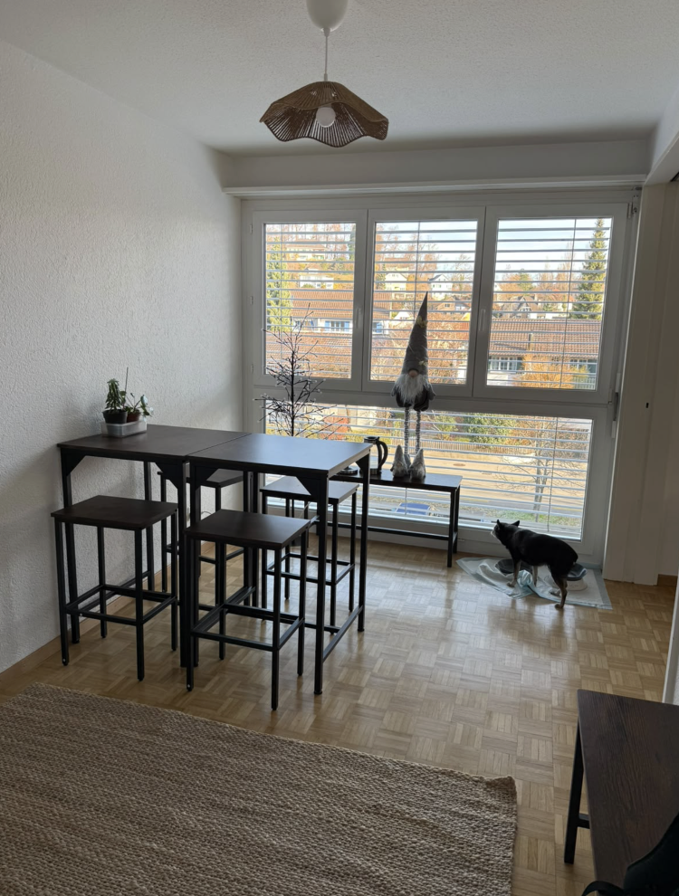 Appartamento di 3 ½ locali, foto 2 di 7