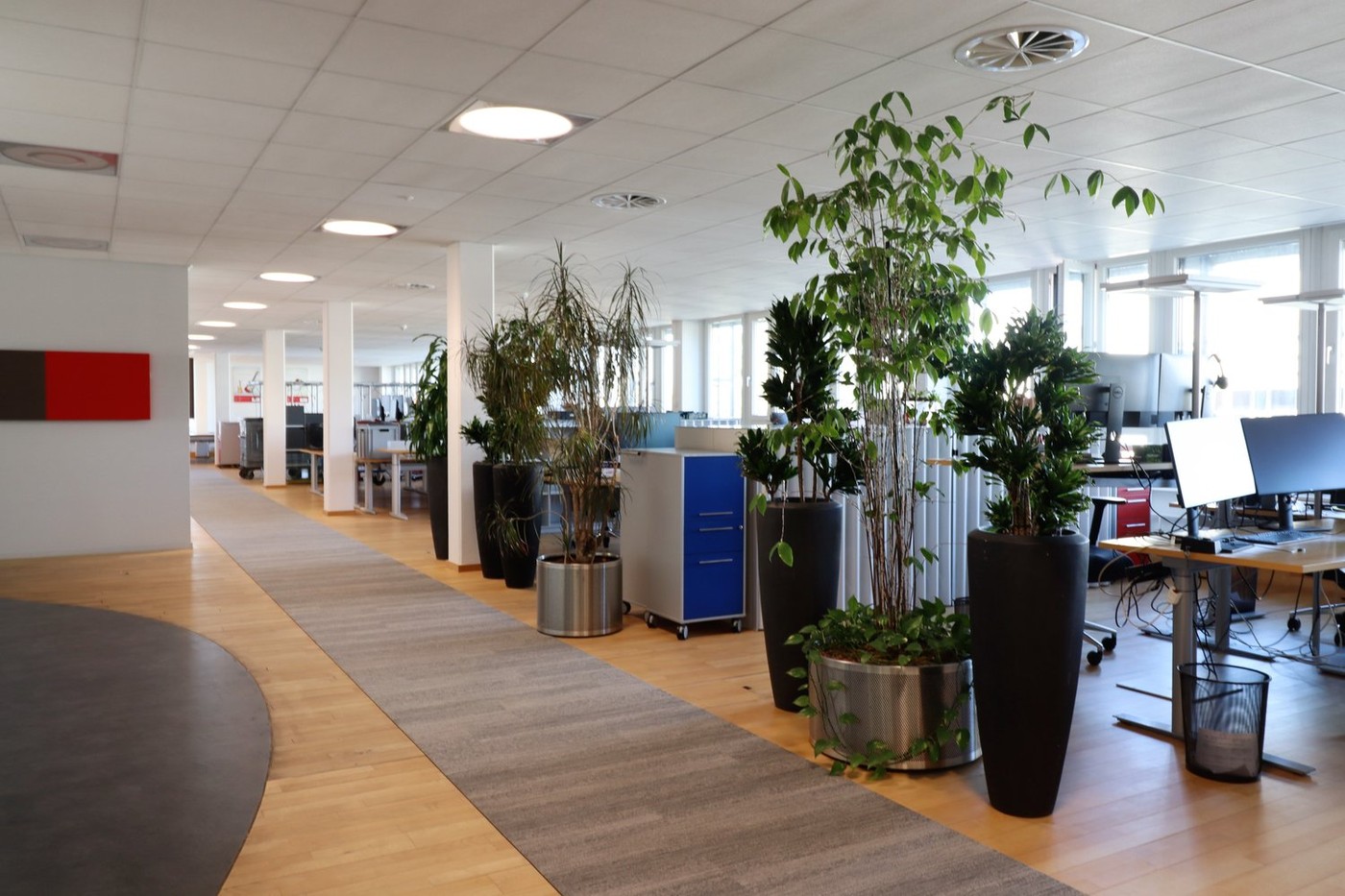 4376m² office, foto 5 di 10