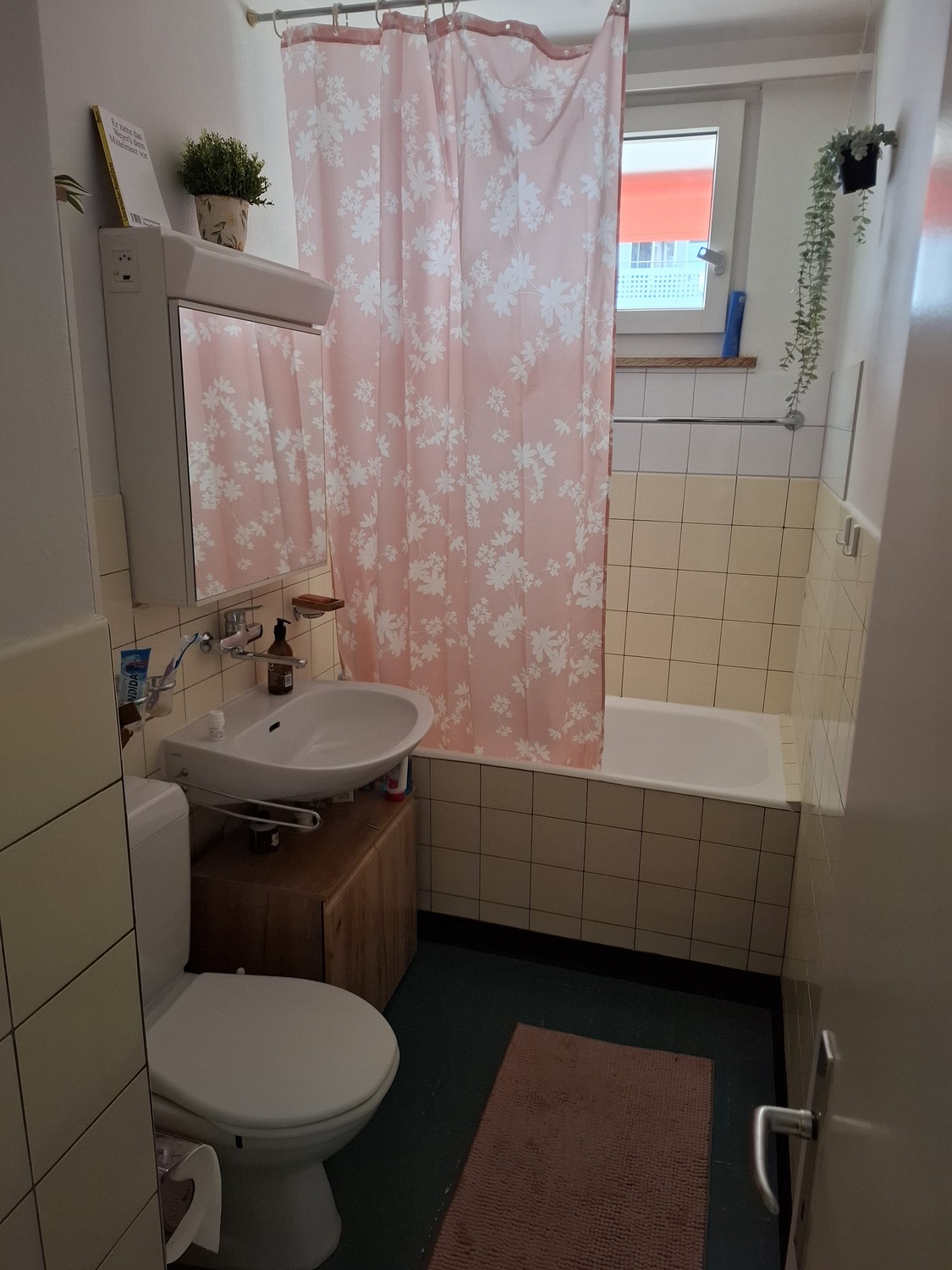 appartamento di 2 locali, foto 5 di 5