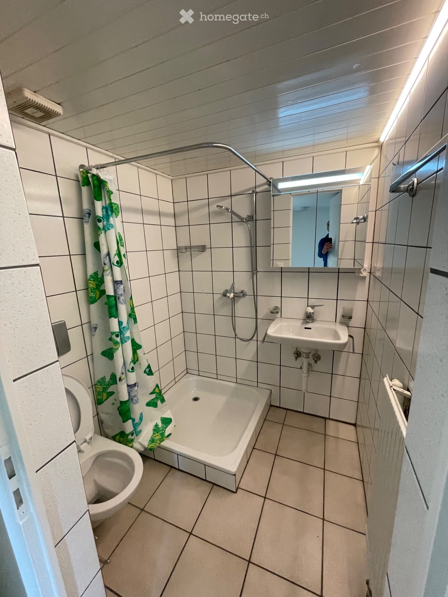 1 ½ rooms apartment