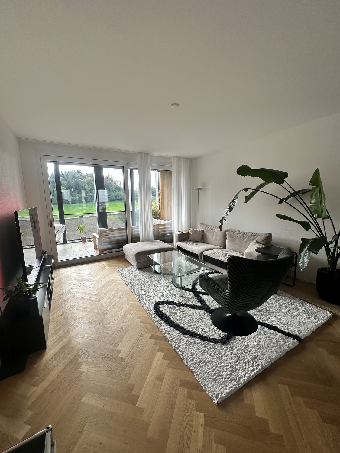 Appartamento di 3 ½ locali
