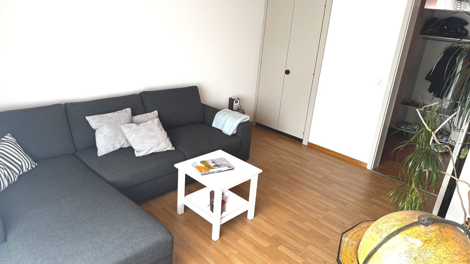 Appartamento arredato di 2 ½ locali, foto 1 di 10