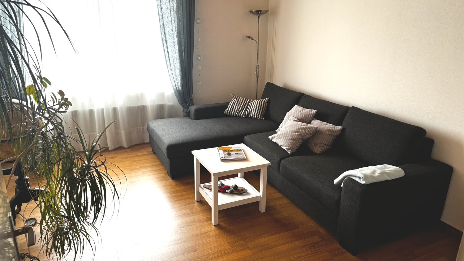 Appartamento arredato di 2 ½ locali, foto 2 di 10