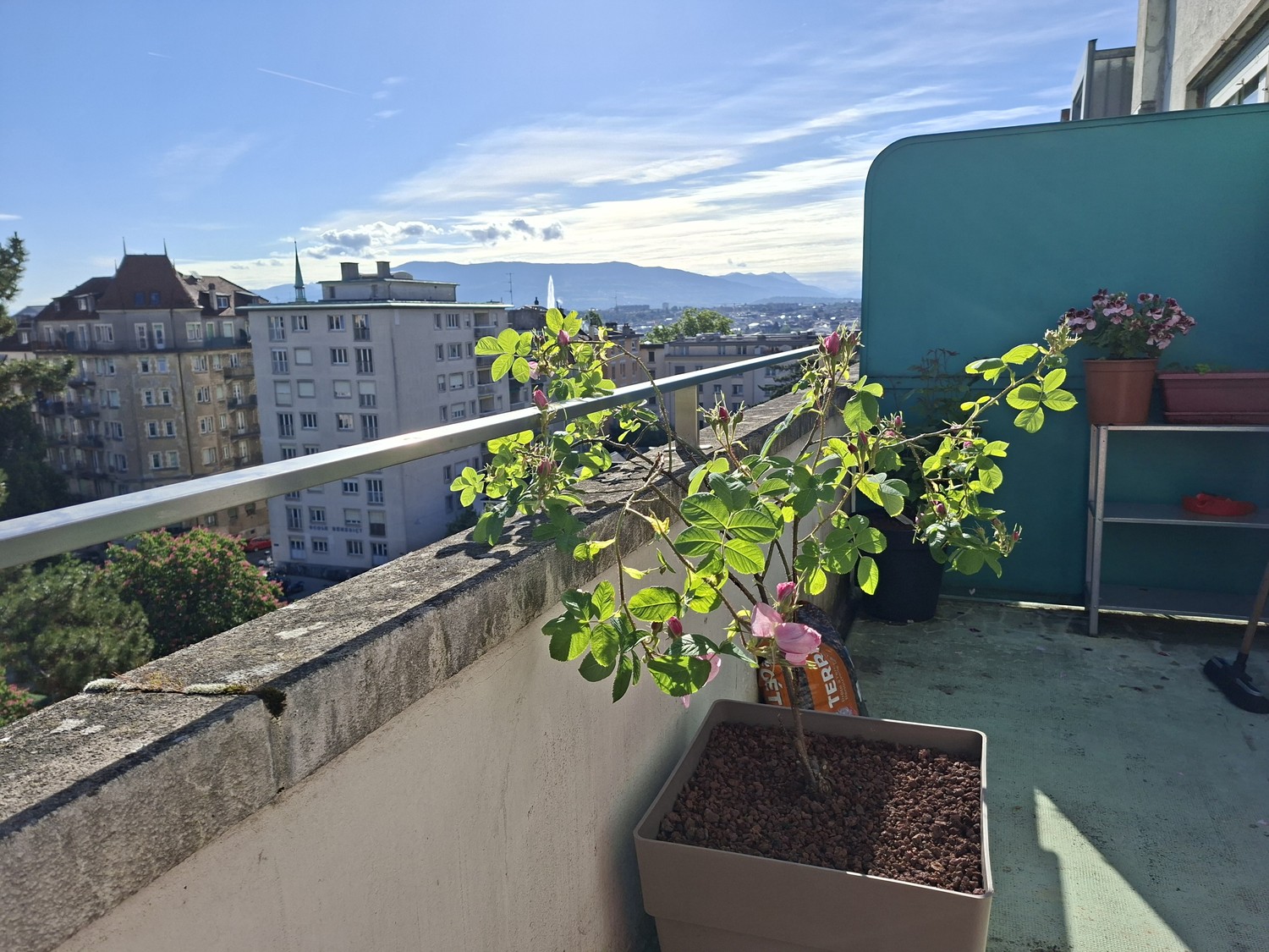 Appartamento di 3 locali, foto 6 di 10