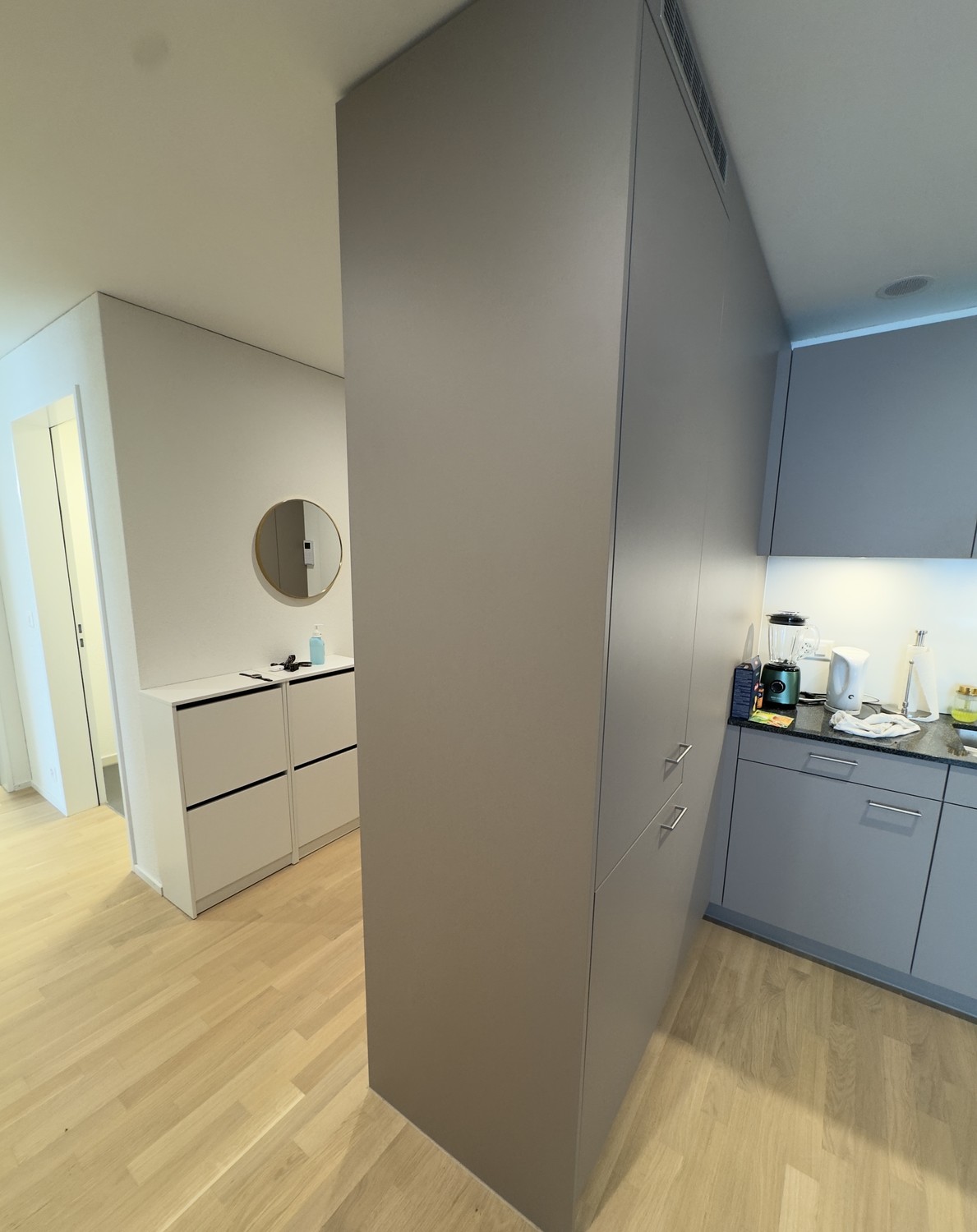 Appartement de 3 ½ pièces