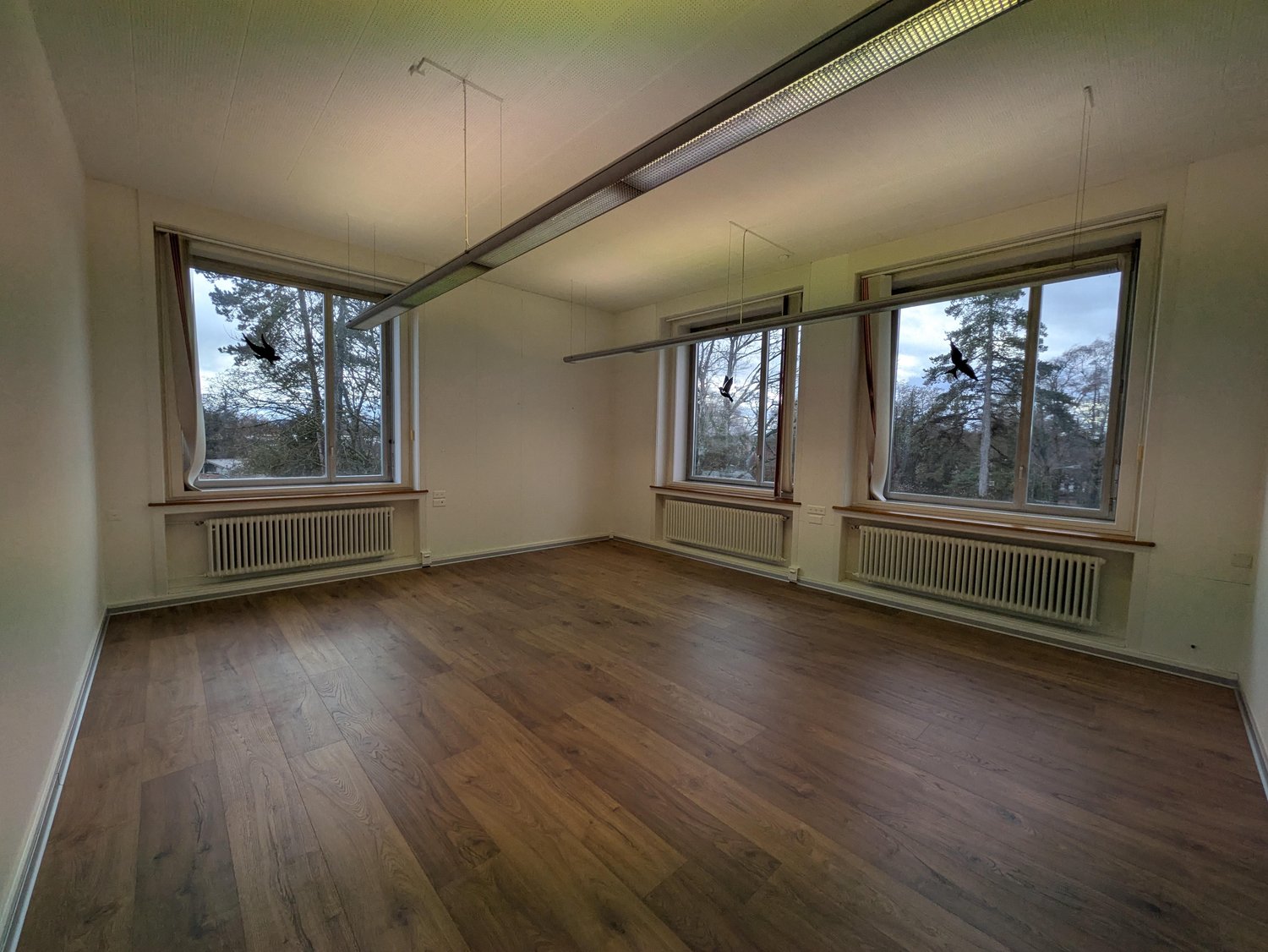 146m² office