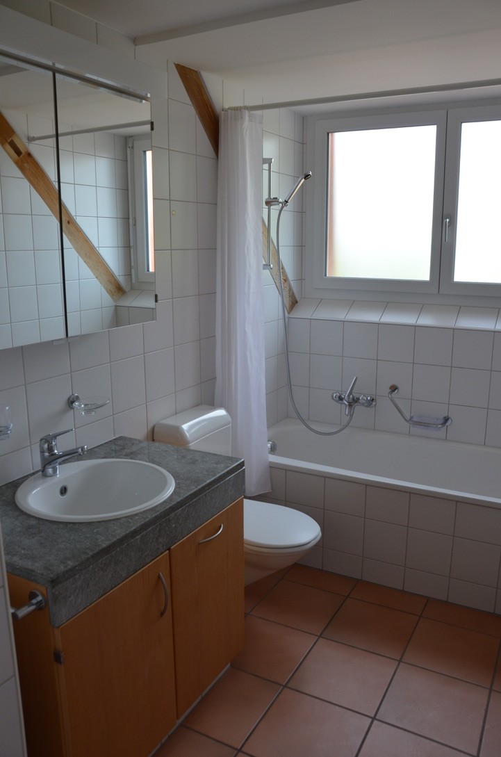 Appartamento di 2 ½ locali, foto 5 di 6