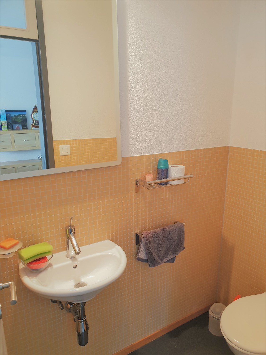 Appartamento di 4 ½ locali