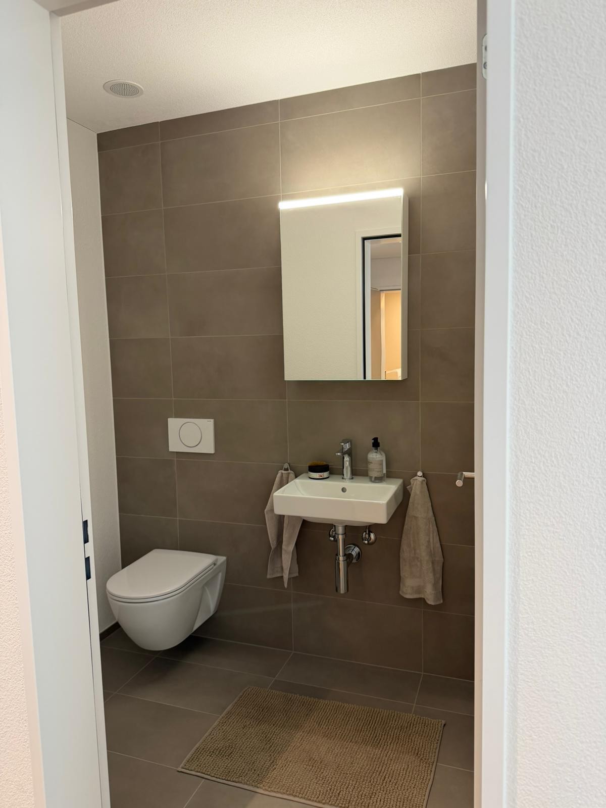Appartamento di 3 ½ locali
