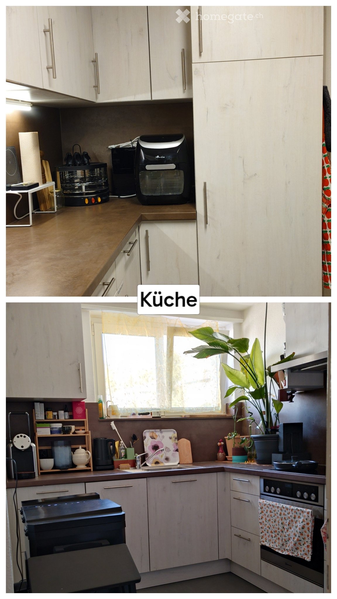 appartamento di 1 ½ locali, foto 3 di 5