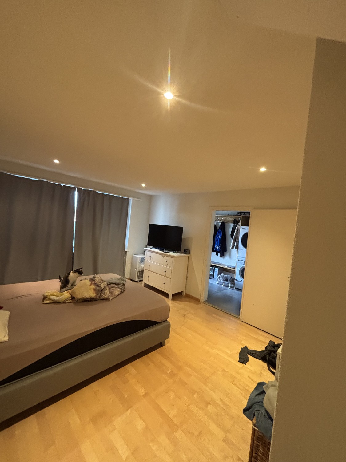 Appartamento di 4 ½ locali, foto 8 di 10