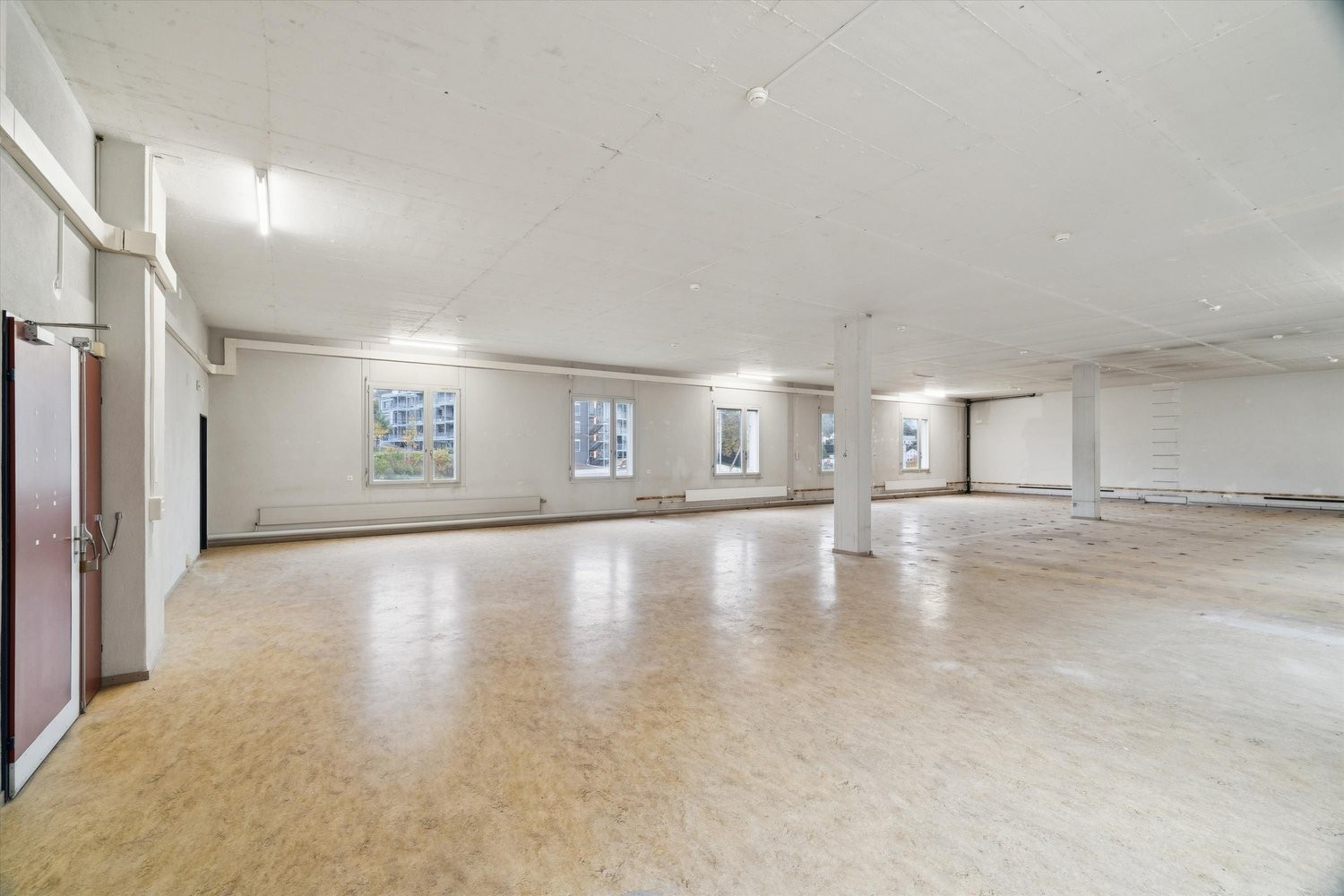 319m² commercial