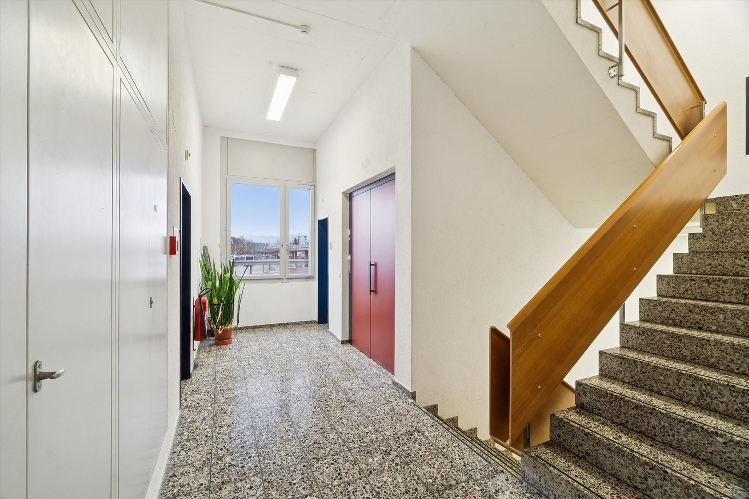 319m² commercial
