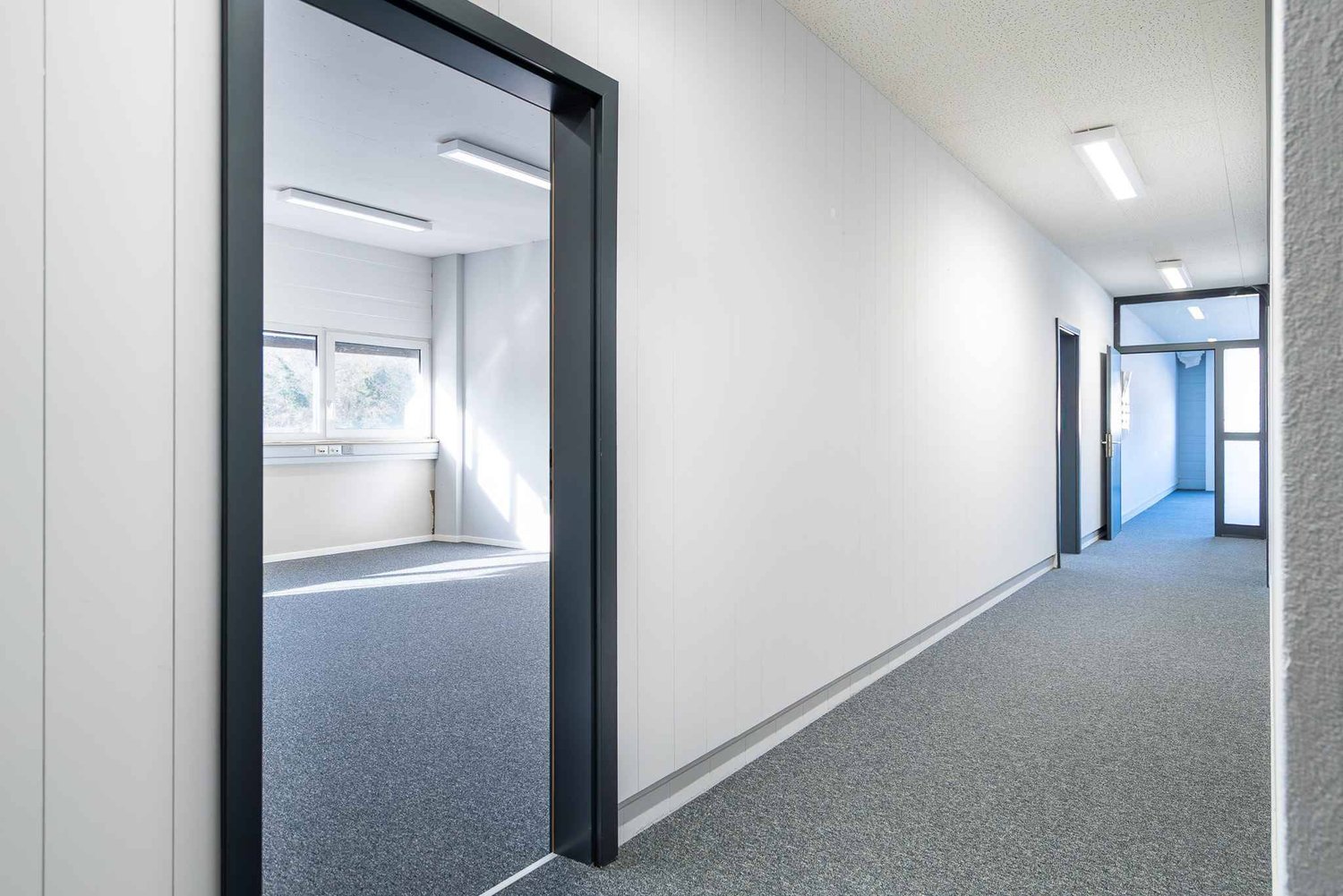 ufficio di 219m²