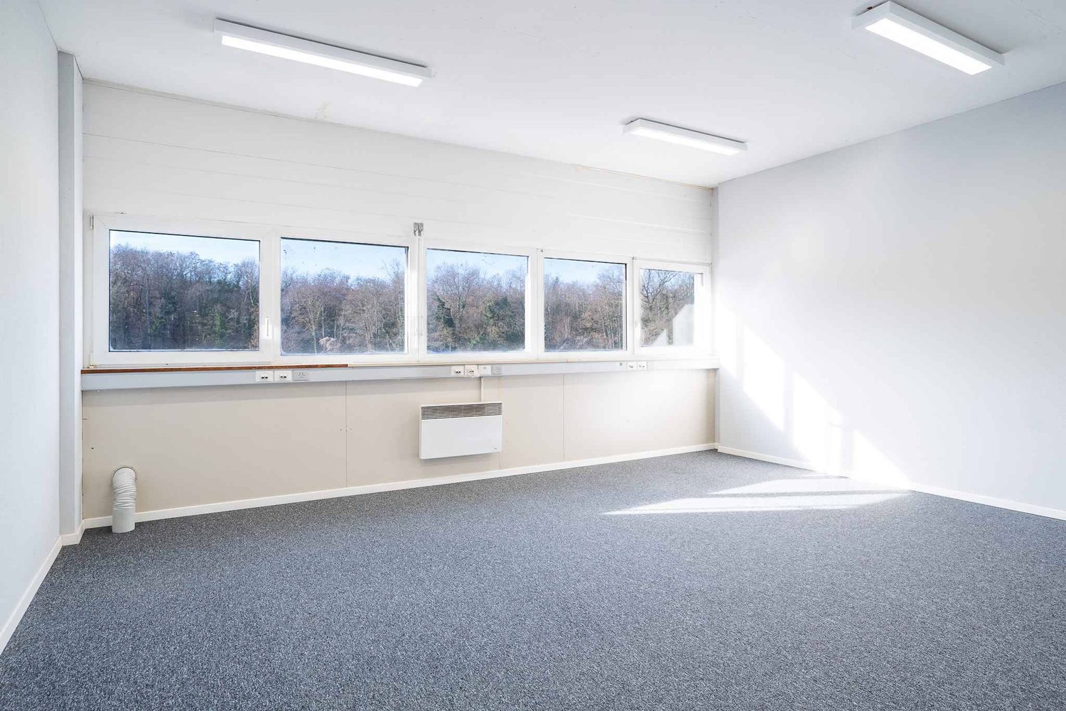 ufficio di 219m²