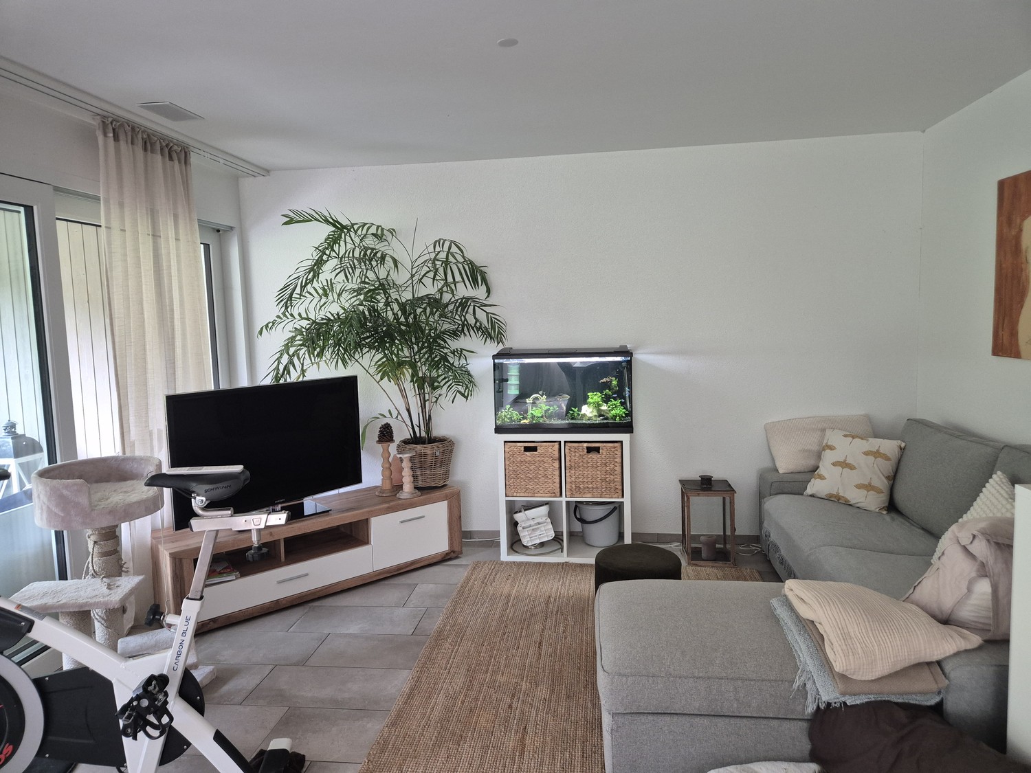 Chambre en colocation