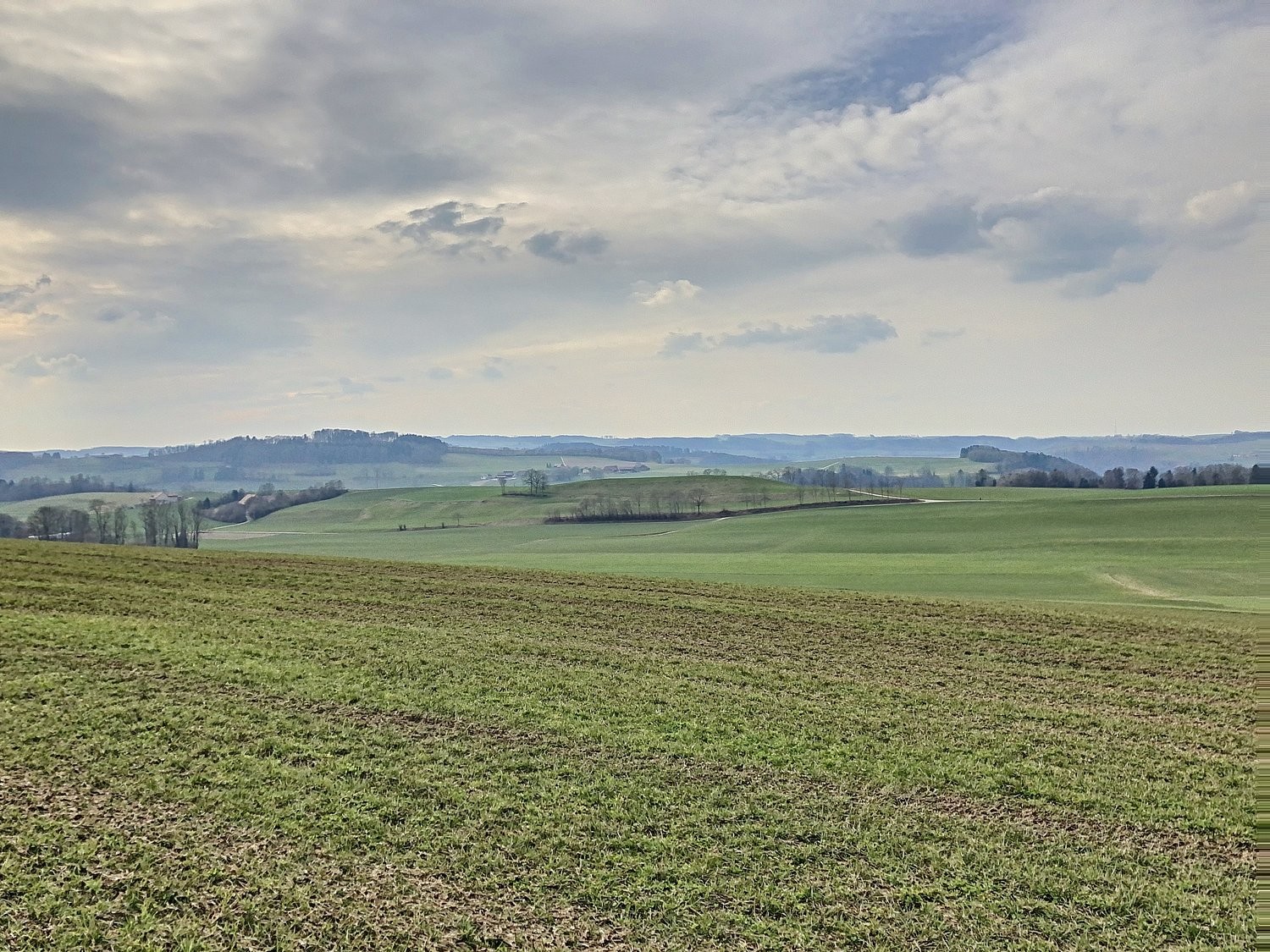 Appartamento di 1 ½ locali, foto 8 di 10