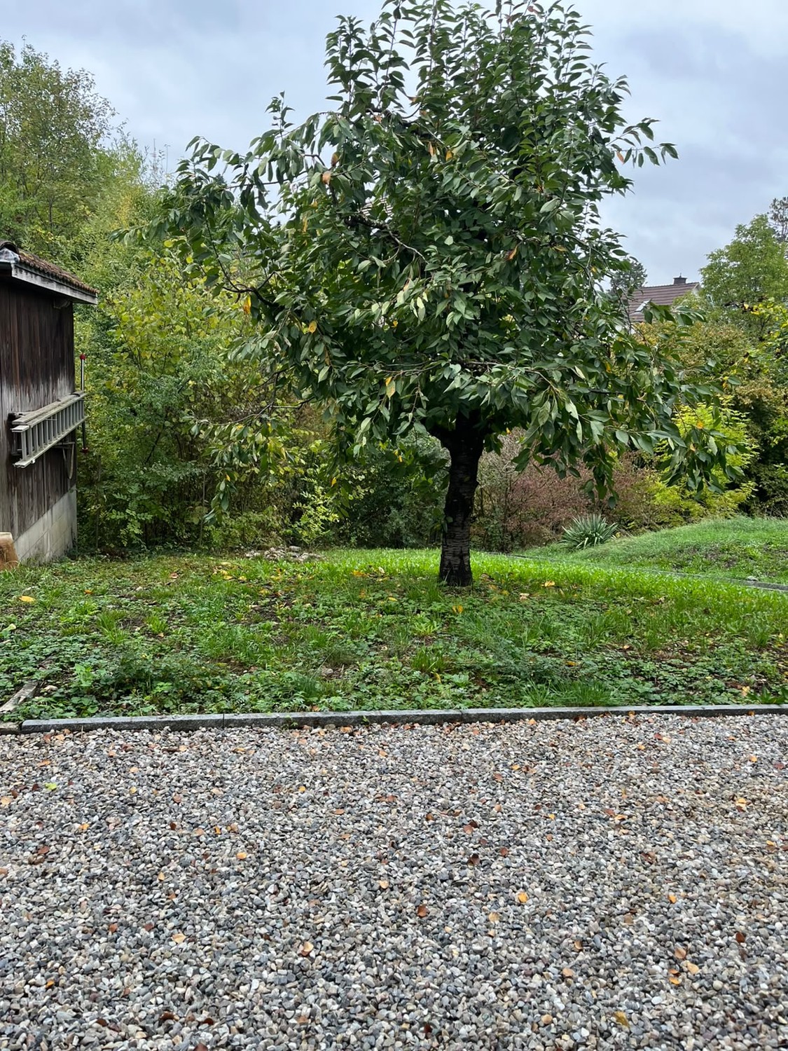 Casa singola di 6 locali, foto 9 di 10