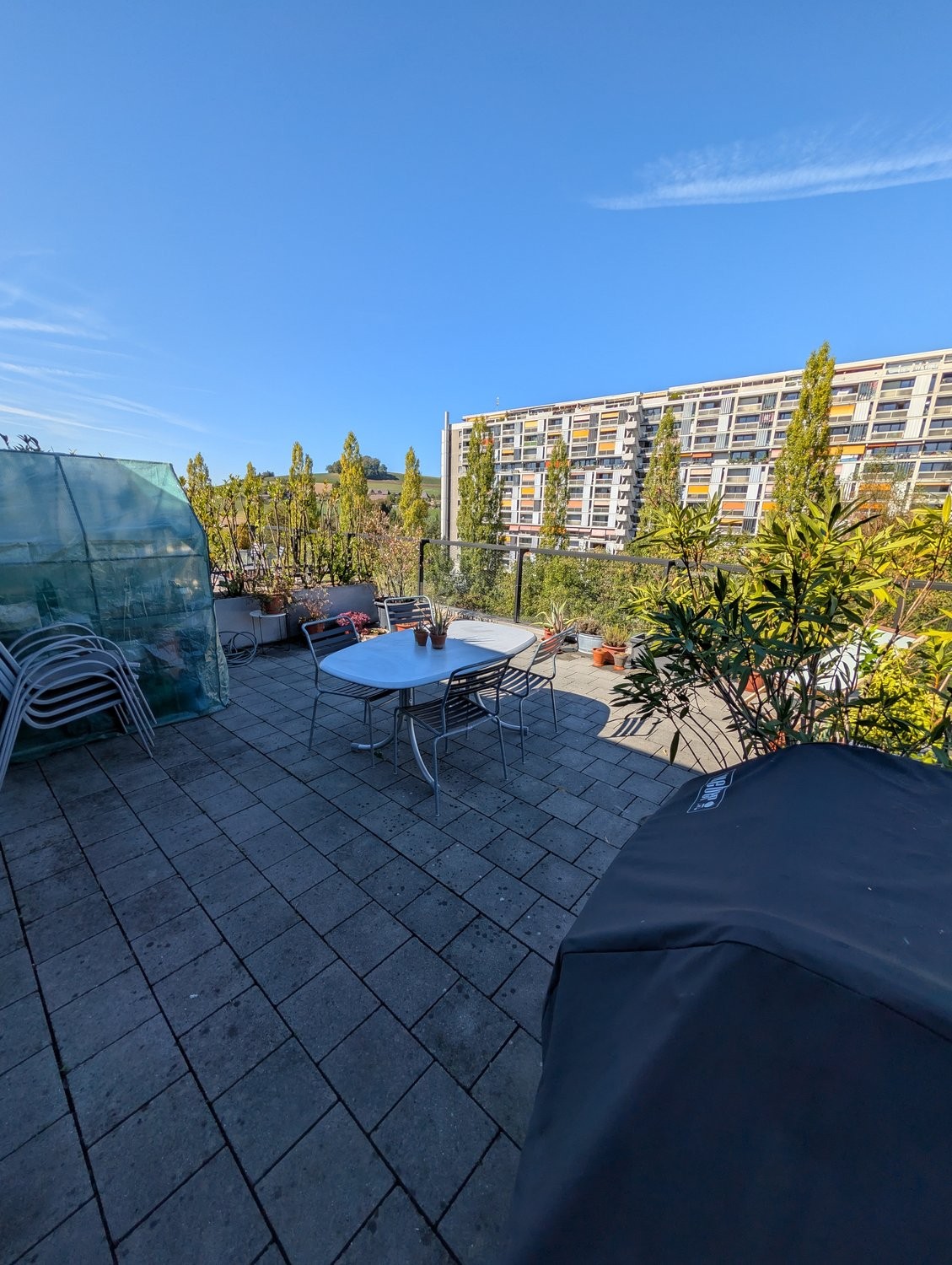Appartamento arredato di 3 ½ locali, foto 9 di 9