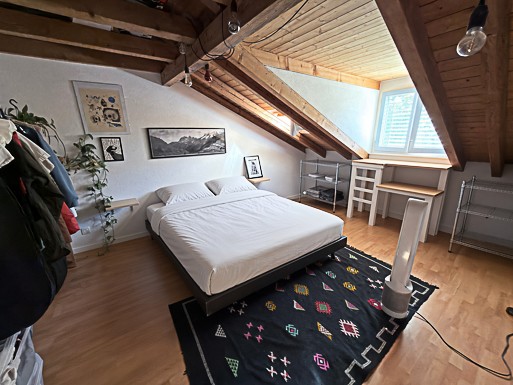 Appartamento di 3 ½ locali