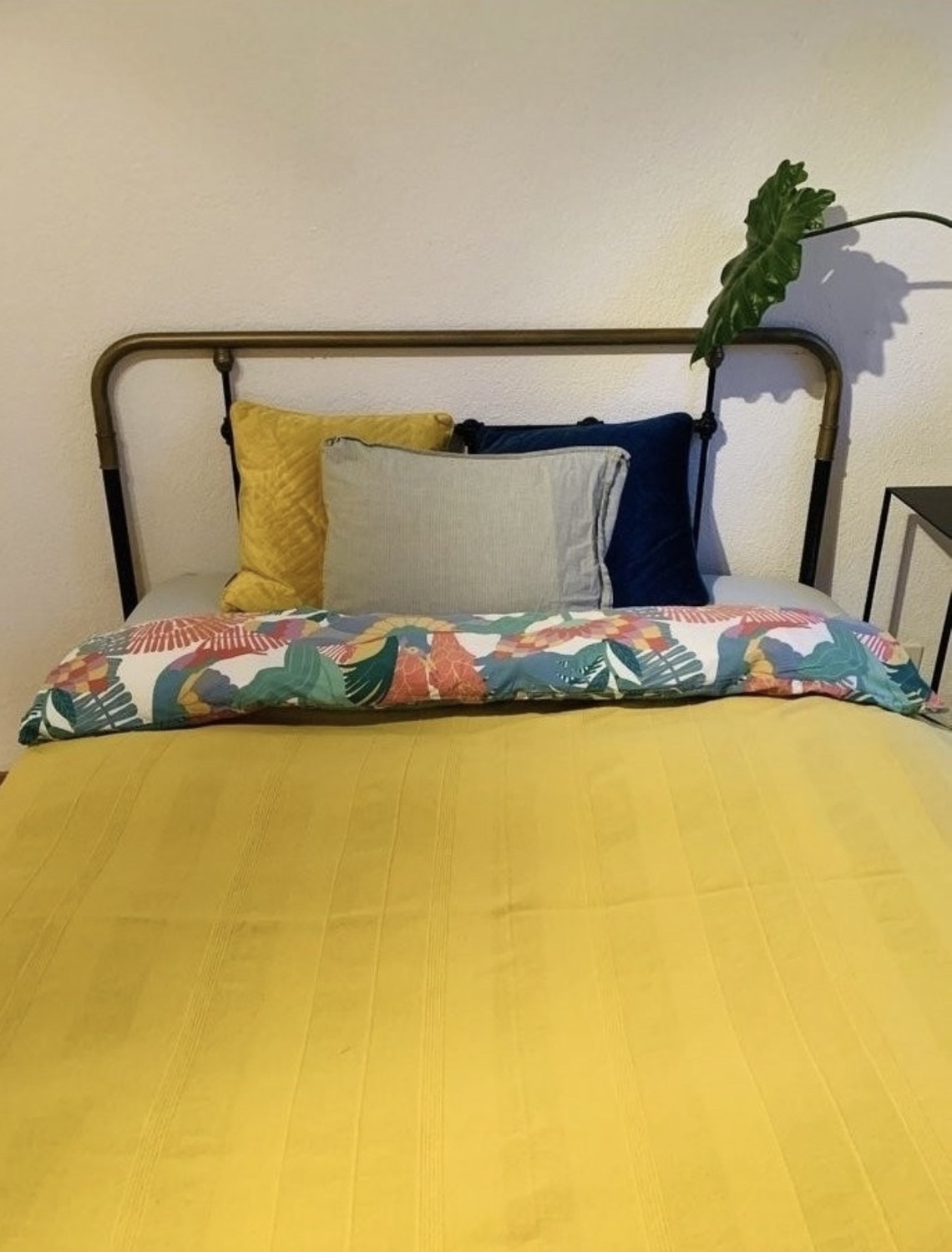 Zimmer in einer WG