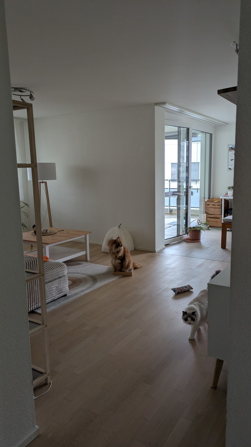 Stanza in un appartamento condiviso, foto 5 di 8